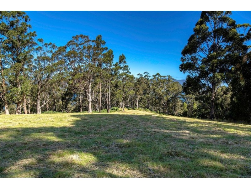 166 Kregors Road, Gordon TAS 7150