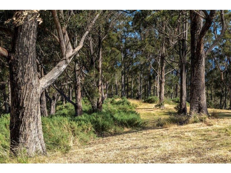 166 Kregors Road, Gordon TAS 7150