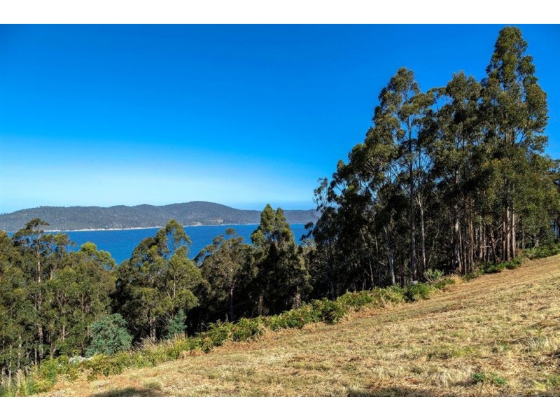 166 Kregors Road, Gordon TAS 7150