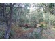 949 Halls Track Road, Pelverata TAS 7150