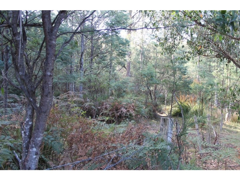 949 Halls Track Road, Pelverata TAS 7150