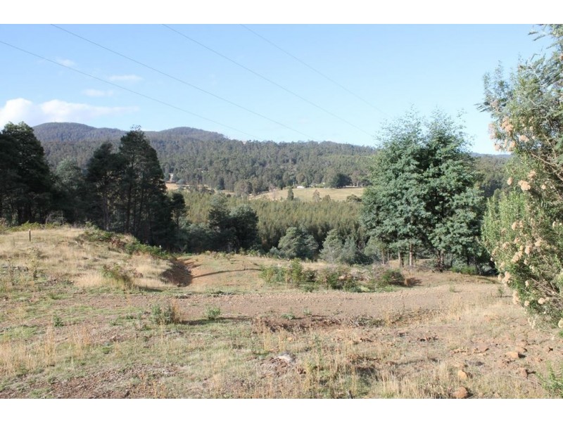 949 Halls Track Road, Pelverata TAS 7150