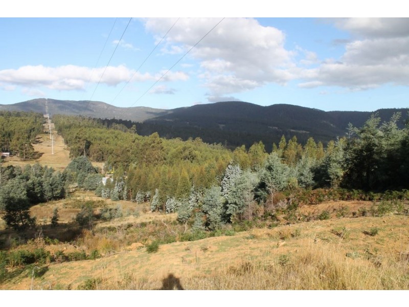 949 Halls Track Road, Pelverata TAS 7150