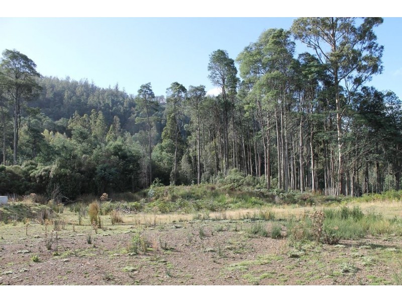 949 Halls Track Road, Pelverata TAS 7150