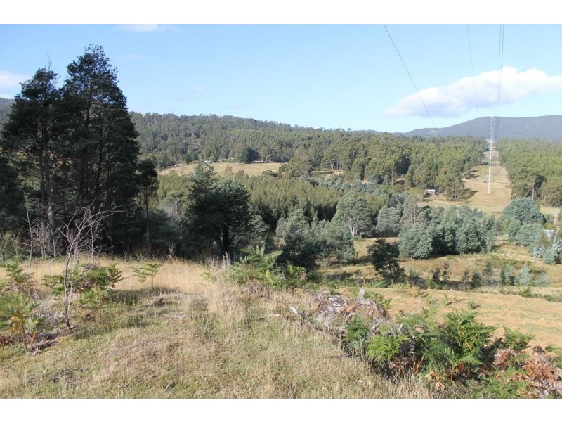 949 Halls Track Road, Pelverata TAS 7150