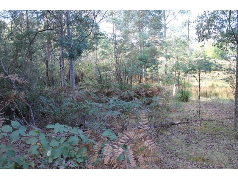 949 Halls Track Road, Pelverata TAS 7150