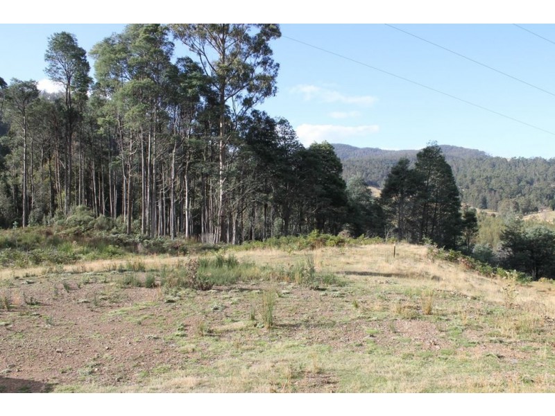 949 Halls Track Road, Pelverata TAS 7150