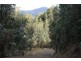 949 Halls Track Road, Pelverata TAS 7150