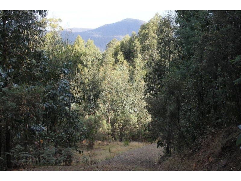 949 Halls Track Road, Pelverata TAS 7150