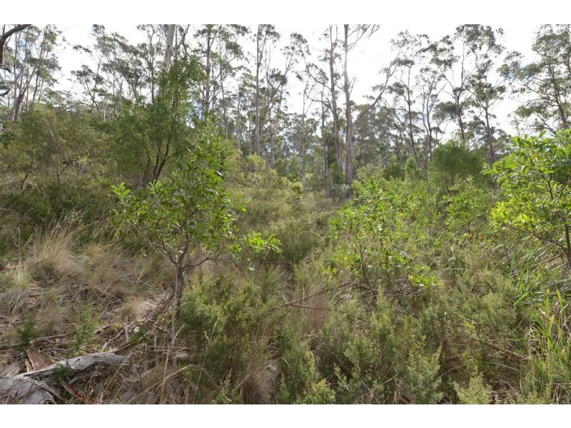 323A Tinderbox Road, Tinderbox TAS 7054