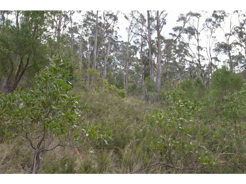 323A Tinderbox Road, Tinderbox TAS 7054