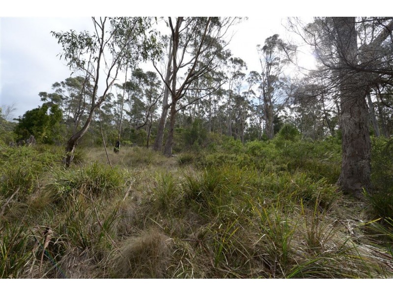 323A Tinderbox Road, Tinderbox TAS 7054