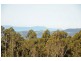Lot 1 Lawless Road, Margate TAS 7054