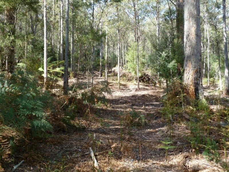 Lot 1 McGowans Road, Margate TAS 7054