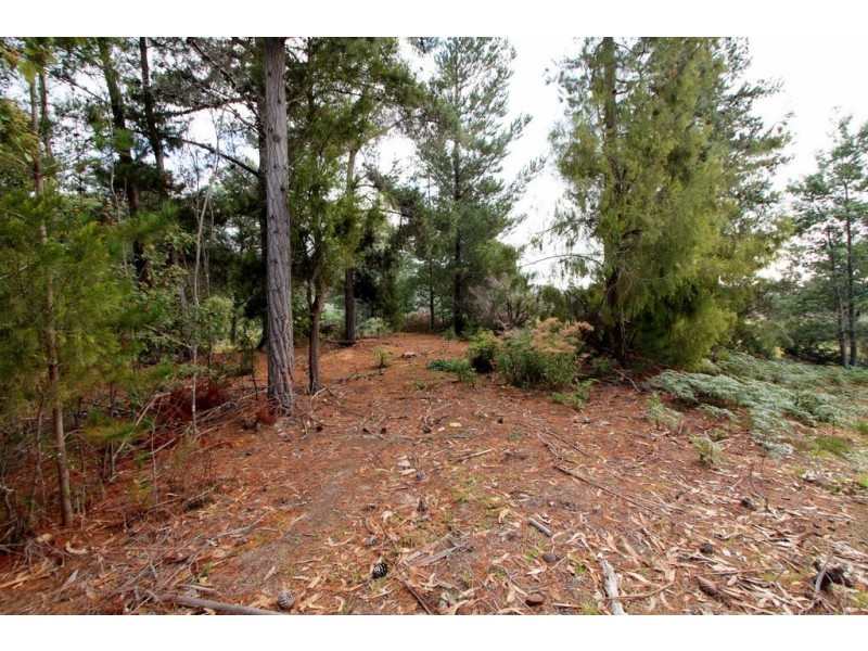 9 Potters Road, Woodbridge TAS 7162