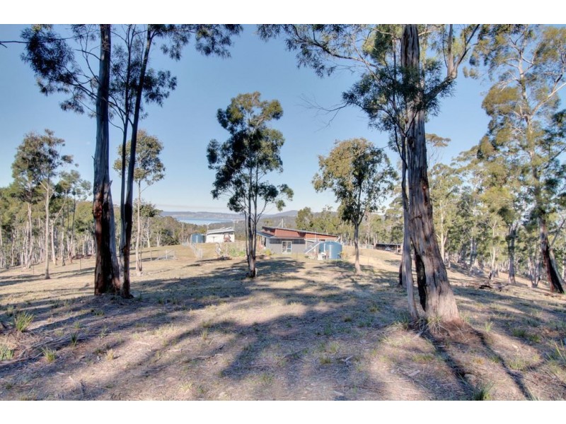 38 Bruschs Road, Oyster Cove TAS 7150