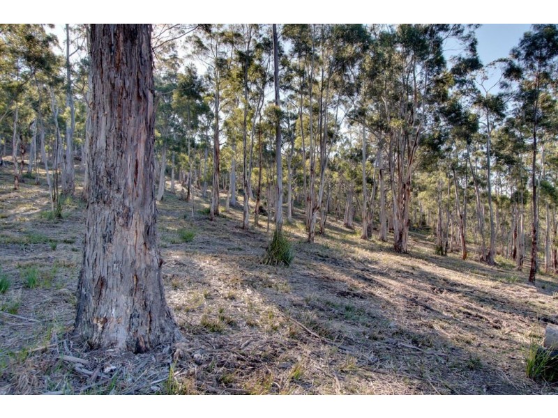 38 Bruschs Road, Oyster Cove TAS 7150