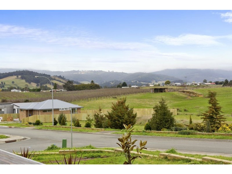 1 Plum Tree Close, Huonville TAS 7109