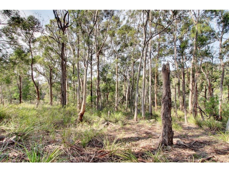 15 Tramway Crescent, Margate TAS 7054
