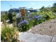 1/19 Hiern Road, Blackmans Bay TAS 7052