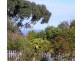 1/19 Hiern Road, Blackmans Bay TAS 7052