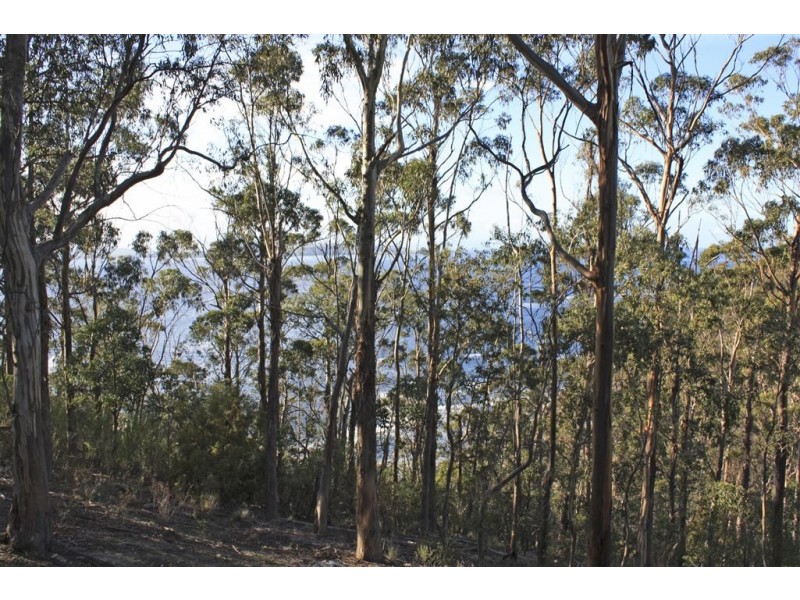 192 Tinderbox Road, Tinderbox TAS 7054