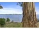 3399 Channel Highway, Woodbridge TAS 7162