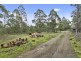 221 Krauses Road, Lower Longley TAS 7109