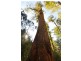 252 Saddle Road, Kettering TAS 7155