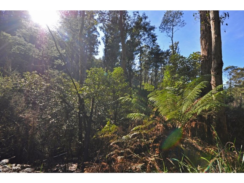 252 Saddle Road, Kettering TAS 7155