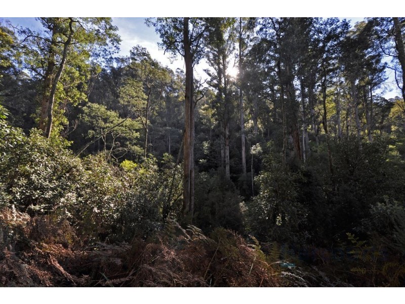 252 Saddle Road, Kettering TAS 7155
