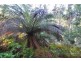 252 Saddle Road, Kettering TAS 7155