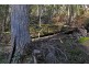 252 Saddle Road, Kettering TAS 7155