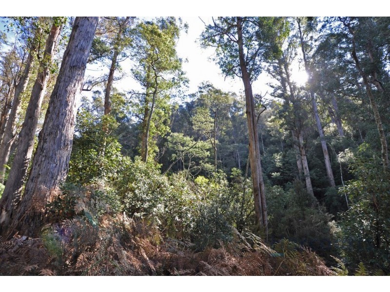 252 Saddle Road, Kettering TAS 7155