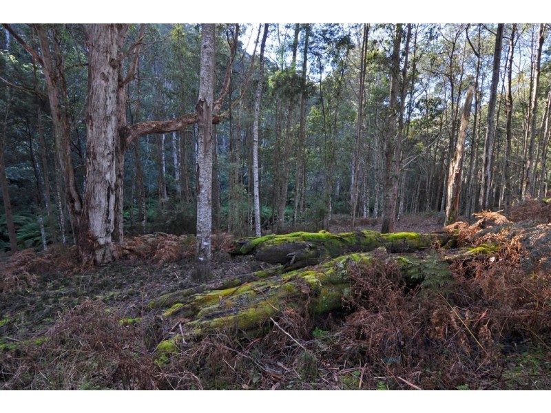 252 Saddle Road, Kettering TAS 7155