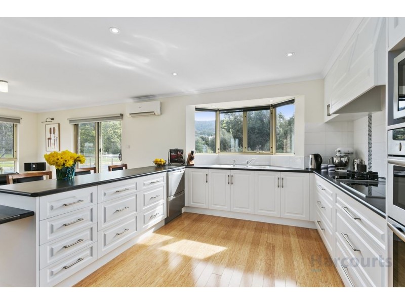 1 Snow Gum Drive, Snug TAS 7054
