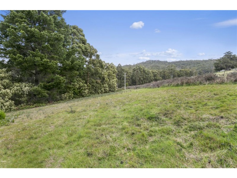 280 Simpsons Bay Road, Simpsons Bay TAS 7150
