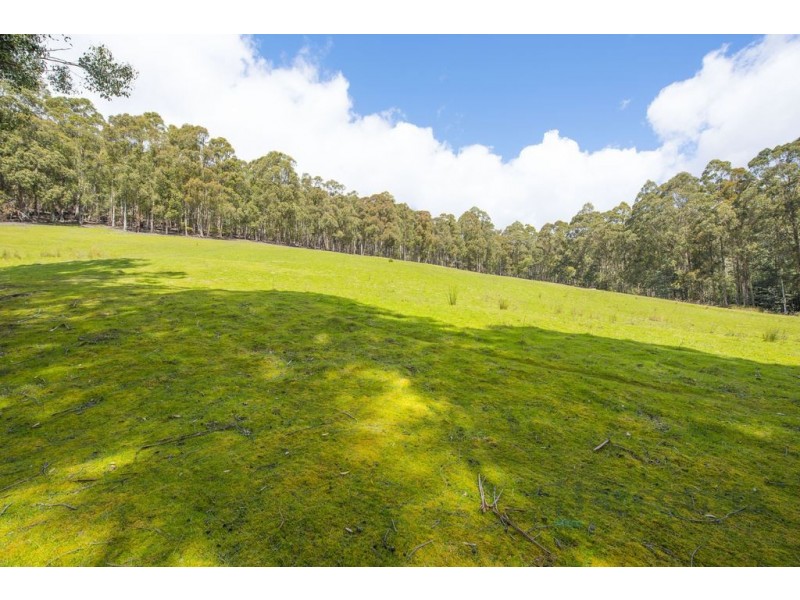 59 Thomsons Road, Allens Rivulet TAS 7150