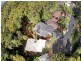 9 Sturt Place, Bulli NSW 2516