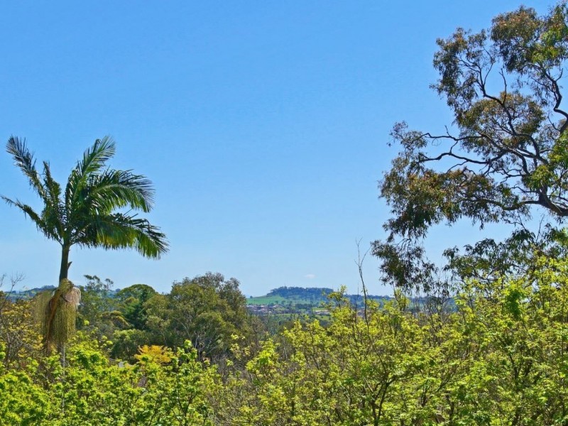 17 Blackbutt Avenue, Bradbury NSW 2560