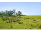 217 George Road, Leppington NSW 2179