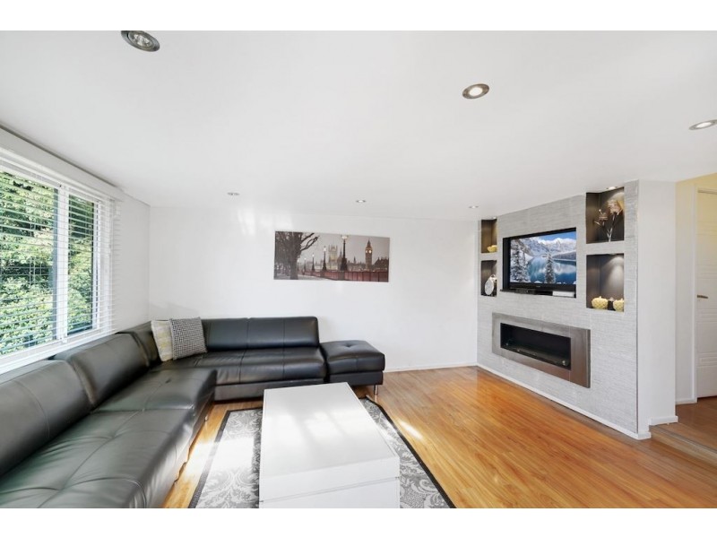 58 Chasselas Ave, Eschol Park NSW 2558