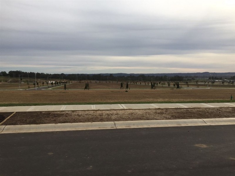 Lot 4237 Hurst Avenue, Spring Farm NSW 2570
