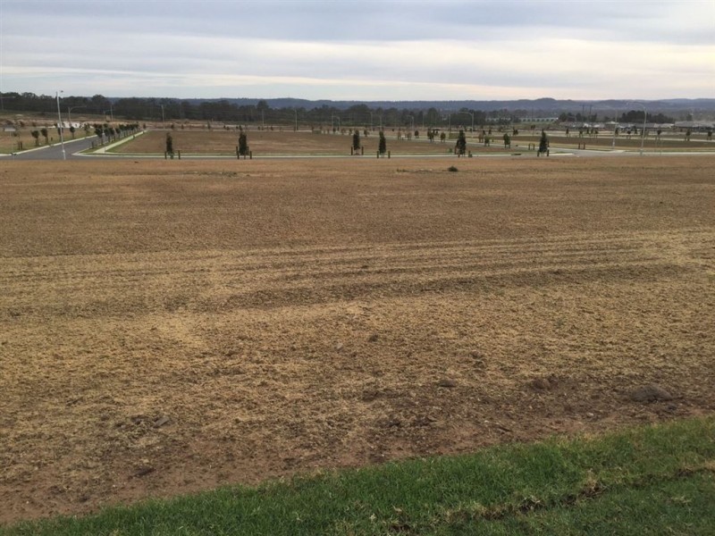 Lot 4237 Hurst Avenue, Spring Farm NSW 2570