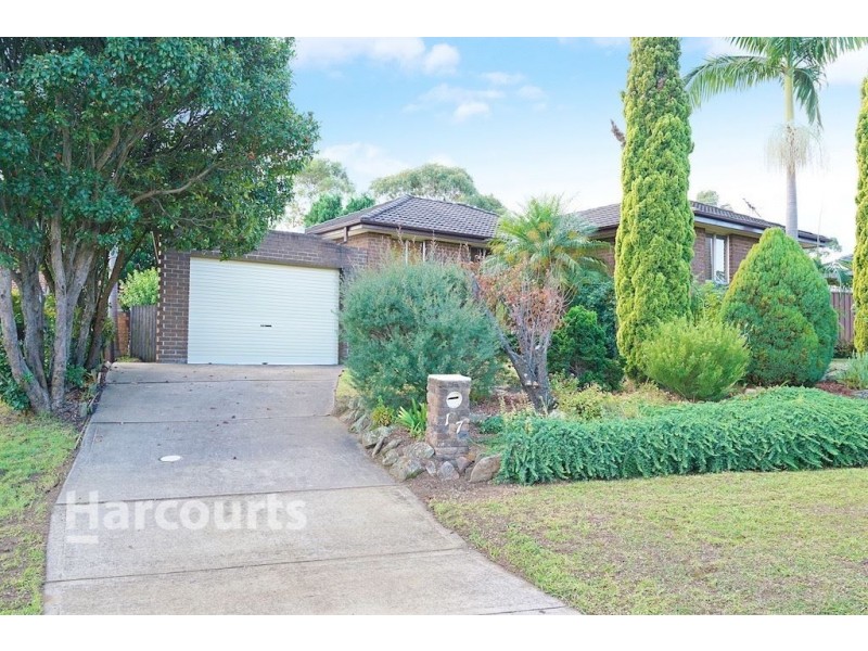 17 Pickett Avenue, Minto NSW 2566