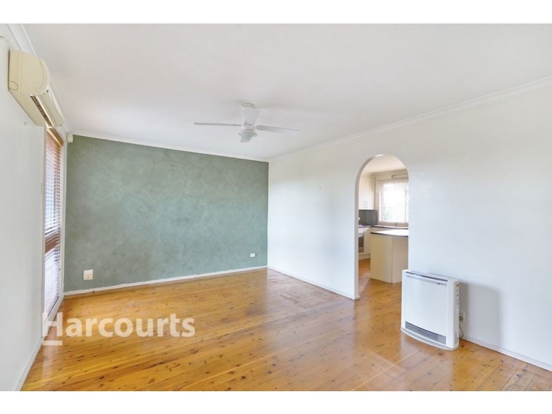 17 Pickett Avenue, Minto NSW 2566