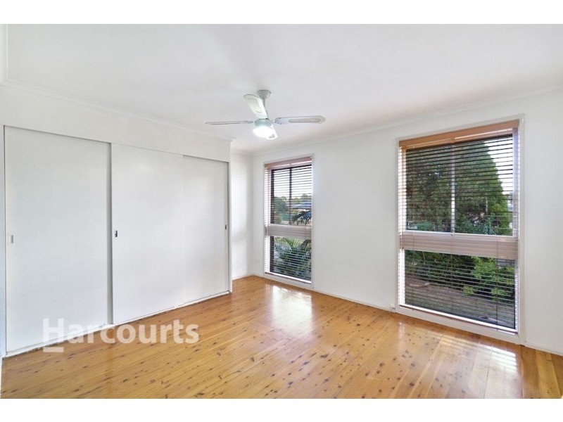 17 Pickett Avenue, Minto NSW 2566