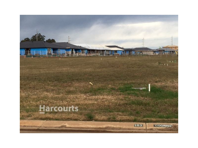 24 Cogrington Drive, Harrington Park NSW 2567