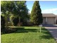 55 LIQUIDAMBER DRIVE, Narellan NSW 2567