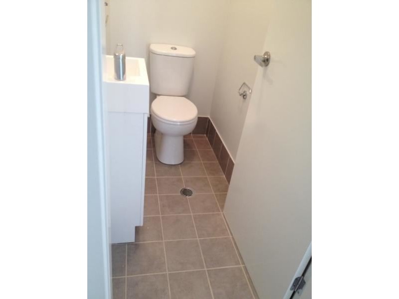 15 Callinan Crescent, Ingleburn NSW 2565